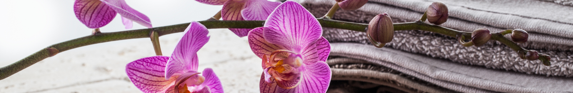 Metabolic Detoxification